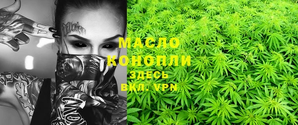 дмт Няндома
