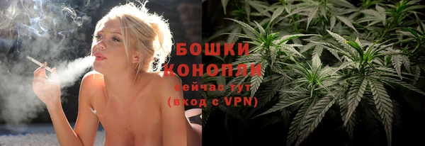 амф Аркадак